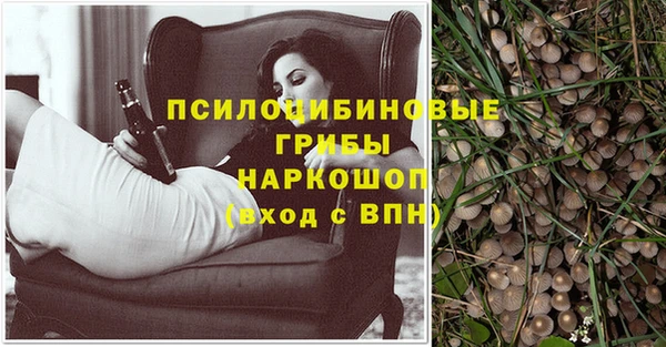 дурь Лагань