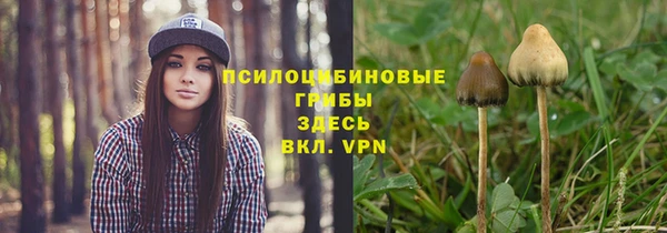 таблы Лабытнанги