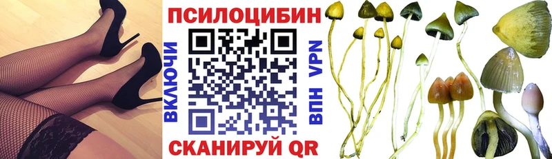 Галлюциногенные грибы MAGIC MUSHROOMS  Сычёвка 
